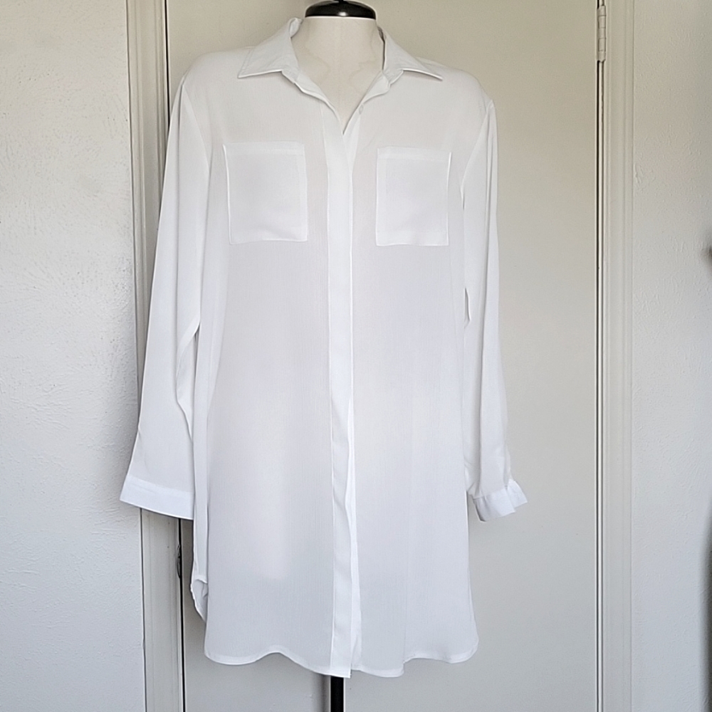 Long Sheer Tunic Top